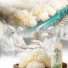 【酸回家】冷凍木耳飲 八罐分享組(口味任選)-低溫商品